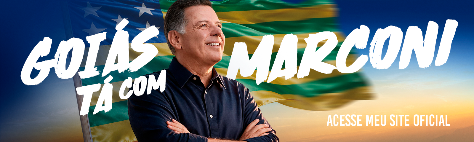 Acesse o site